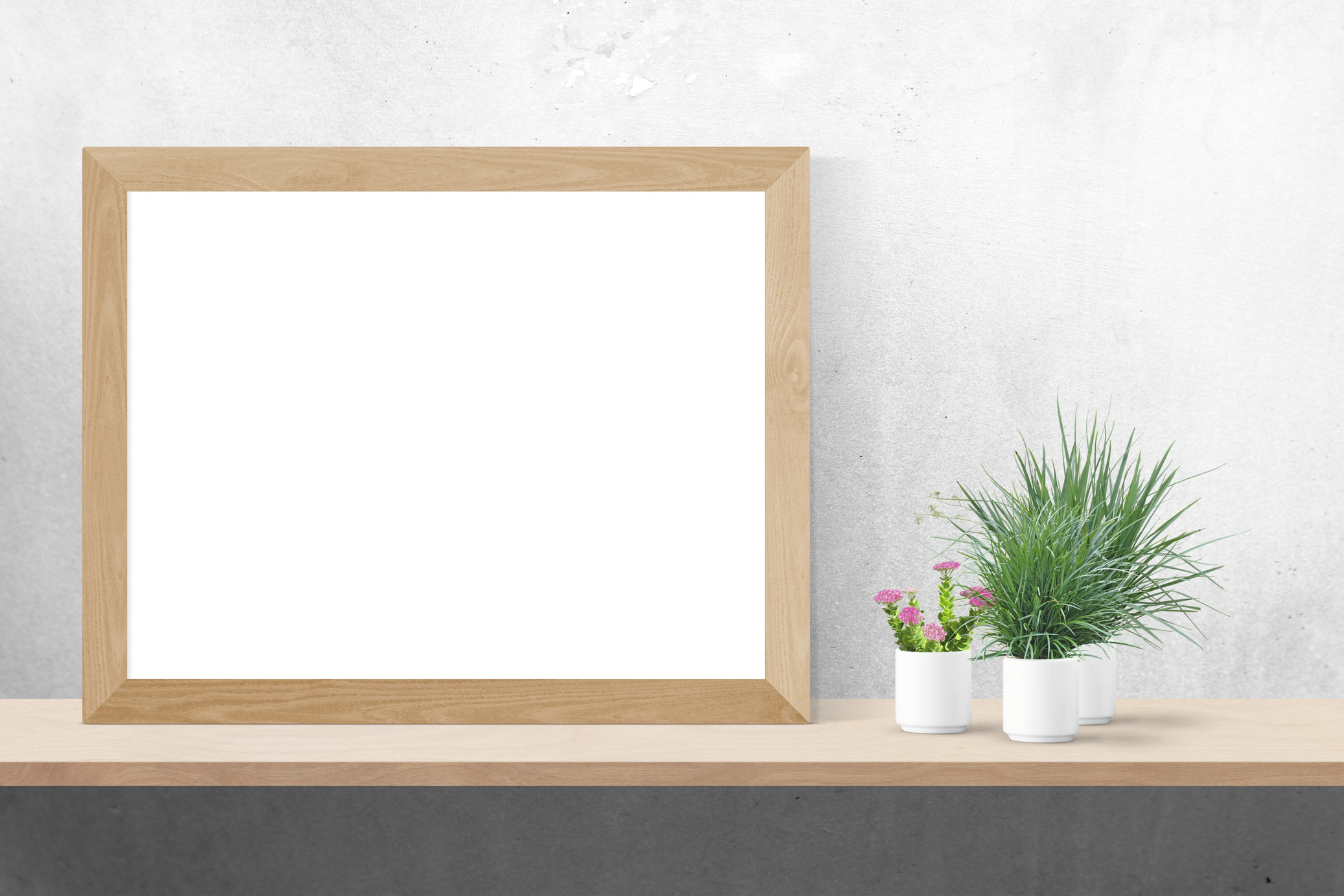 Blank Frame and Plants